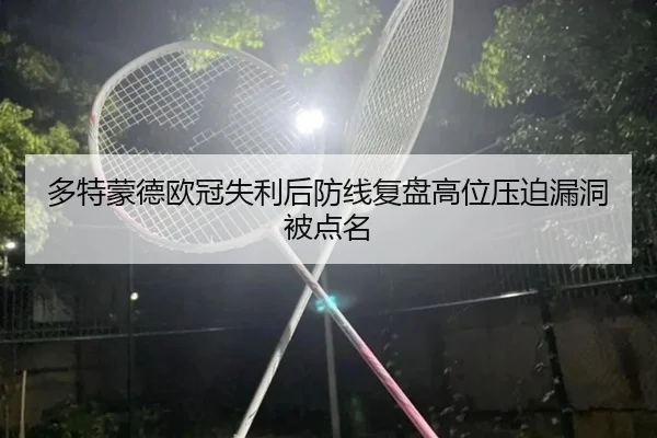 多特蒙德欧冠失利后防线复盘高位压迫漏洞被点名
